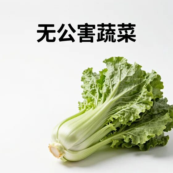 商标注册